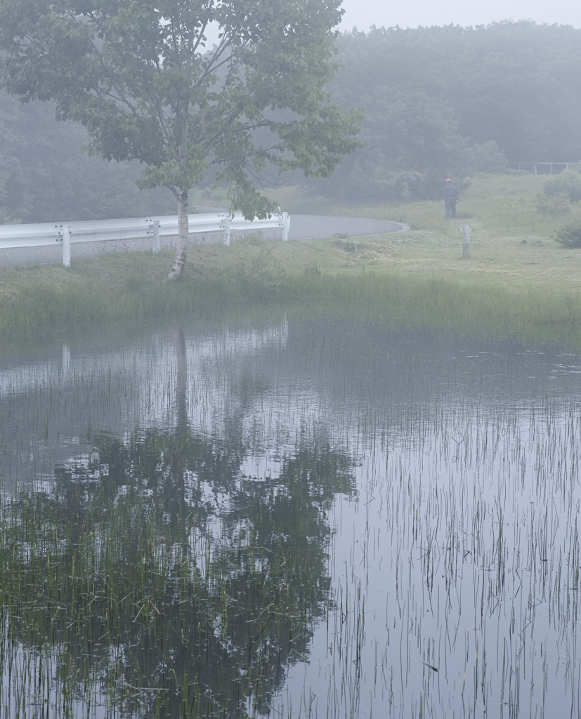 草刈りの風景