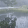 草刈りの風景