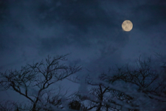 The moon