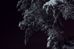 雪夜