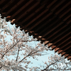 Half spring