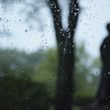 とある雨の日