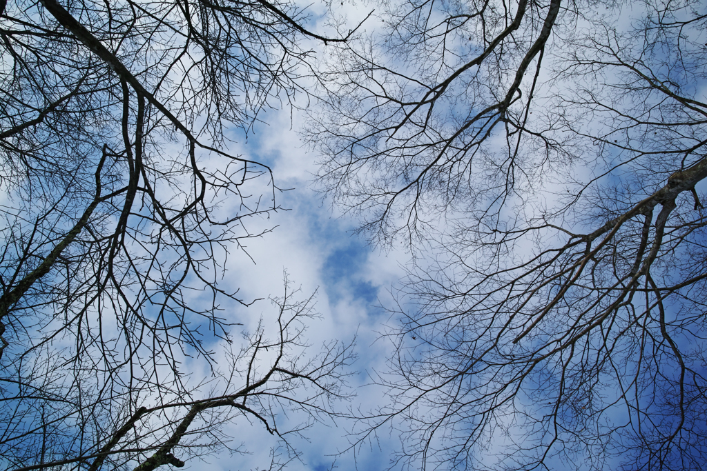 The sky