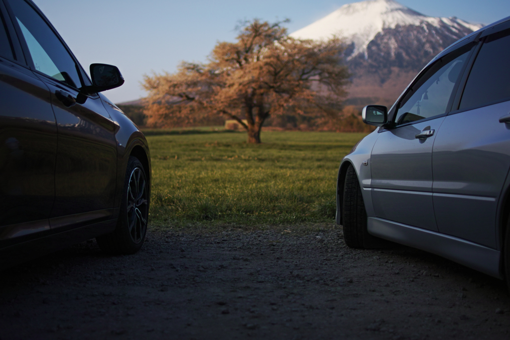 Cars