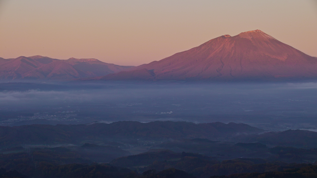 Red iwate