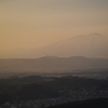 Orange Iwate