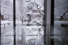 reflection