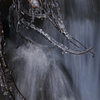 foveon icicle