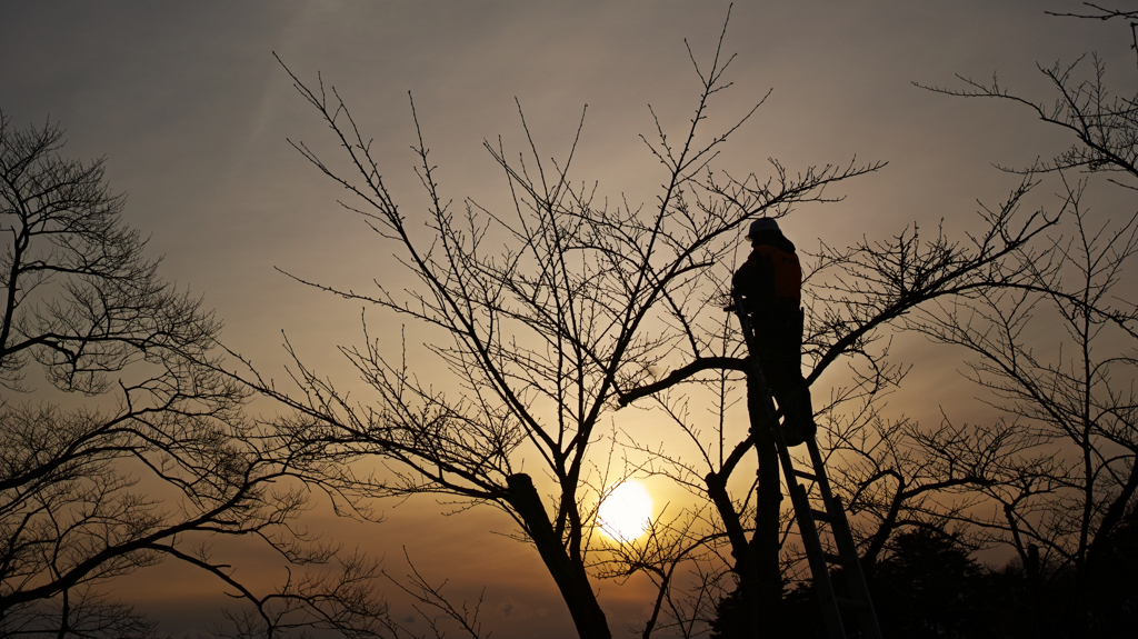 a climber