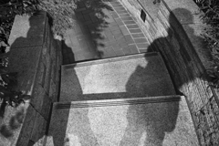 shadows