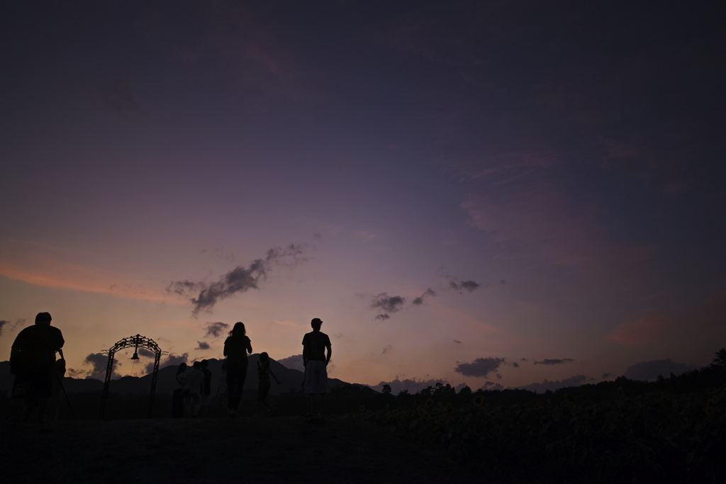 煙山の夕方