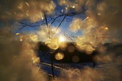 Winter bubbles