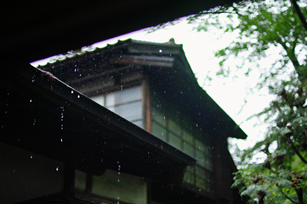 Rain