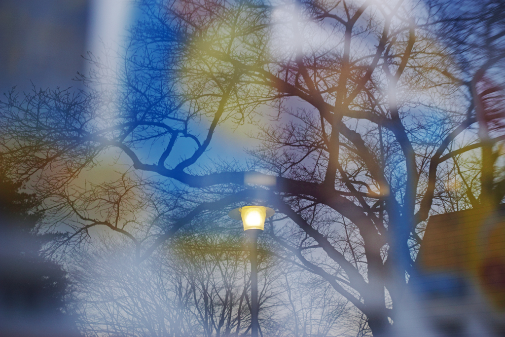 Winter color