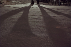 Winter Shadow