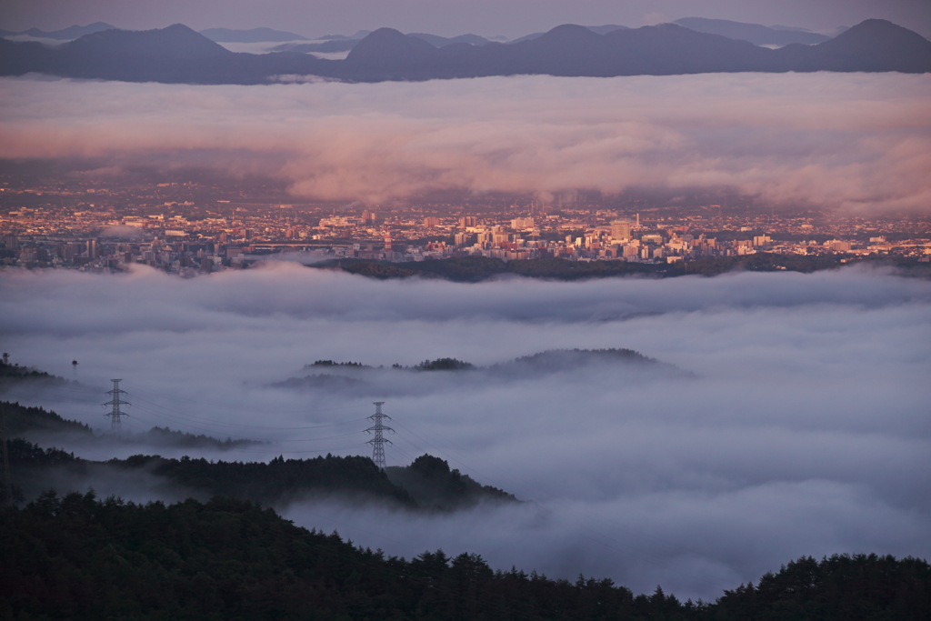Symbiosis of city and nature