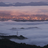 Symbiosis of city and nature