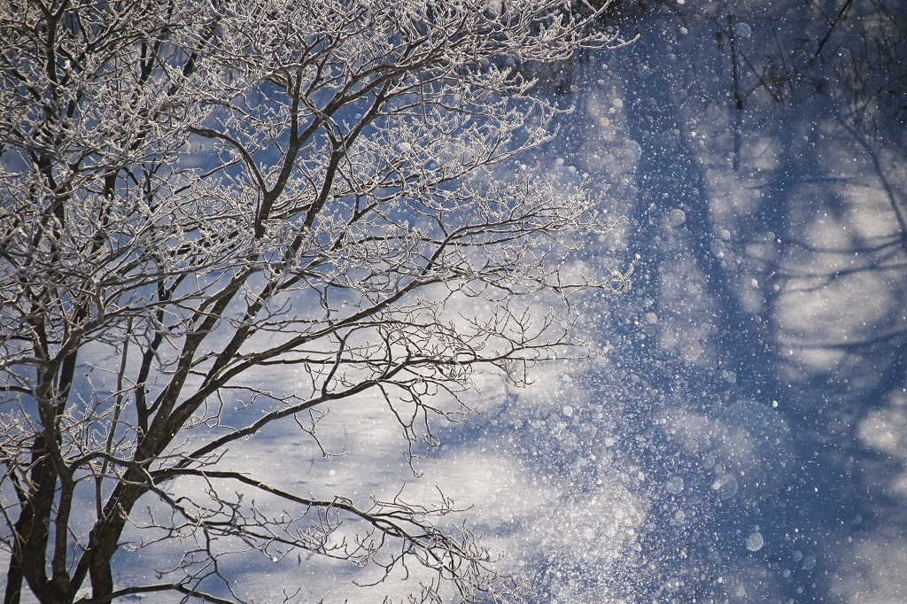 winter stardust