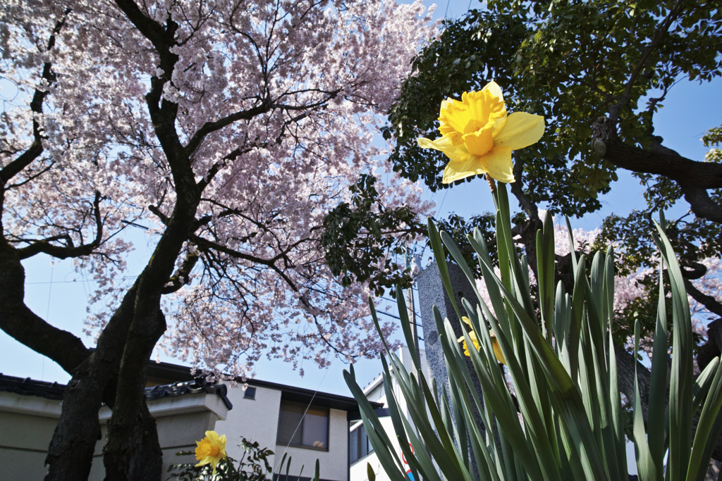 Spring colors
