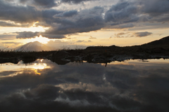 Light ＆ Reflection