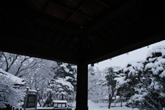 Not monochrome