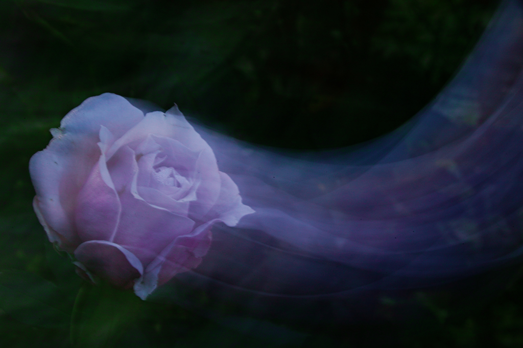 Silk
