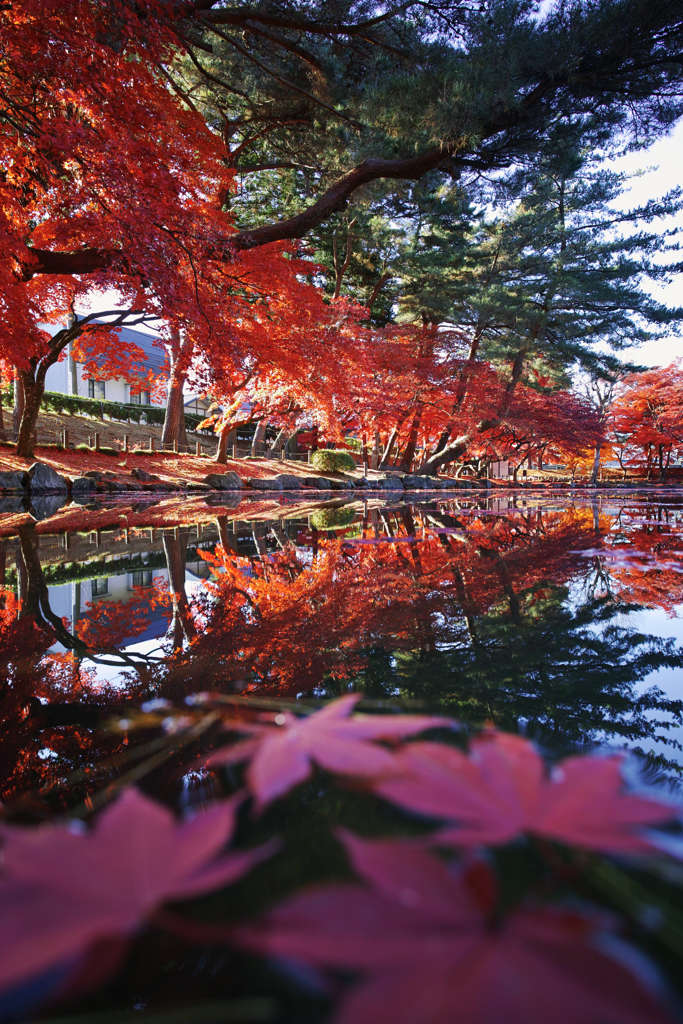 reflection