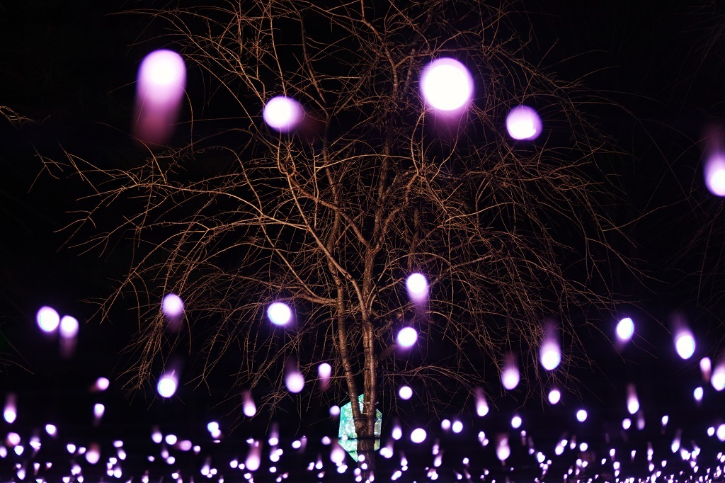 Purple snow