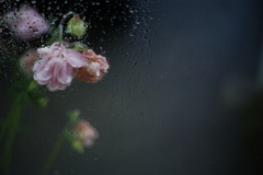 It's raining outside