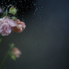 It's raining outside