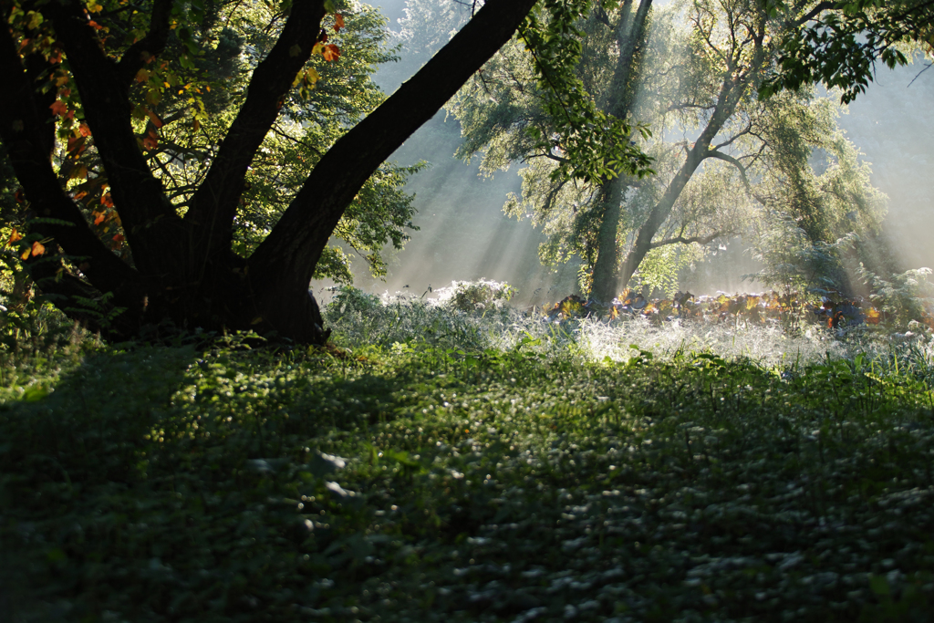 Light shadow