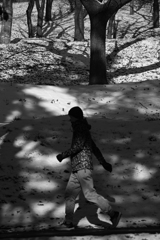 shadows