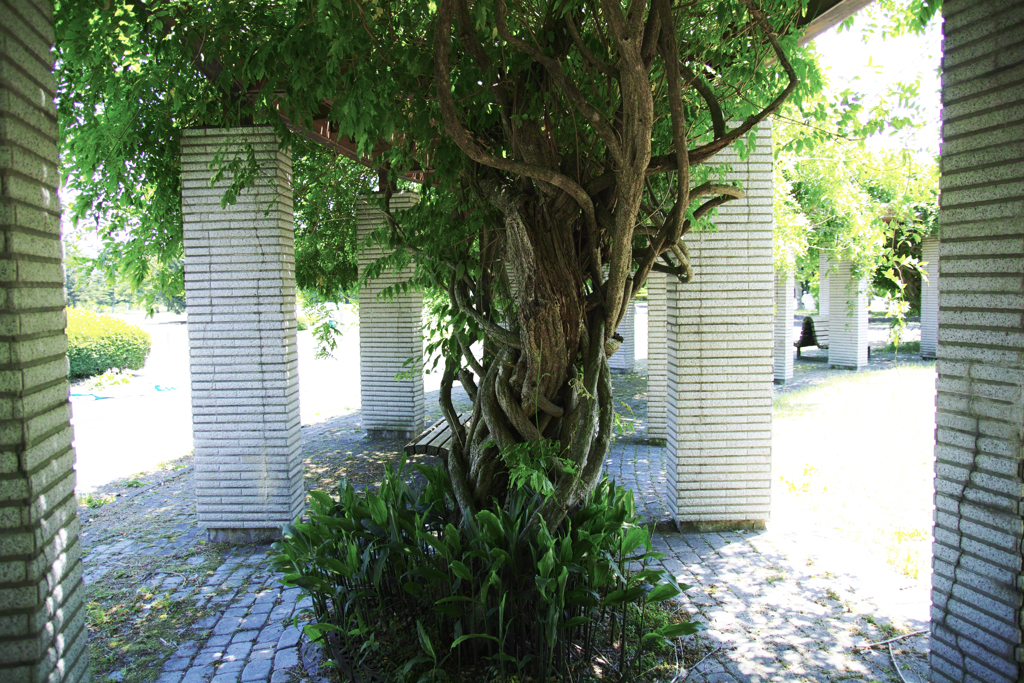 Garden of eden