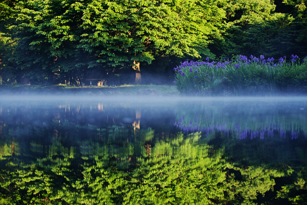 Reflection