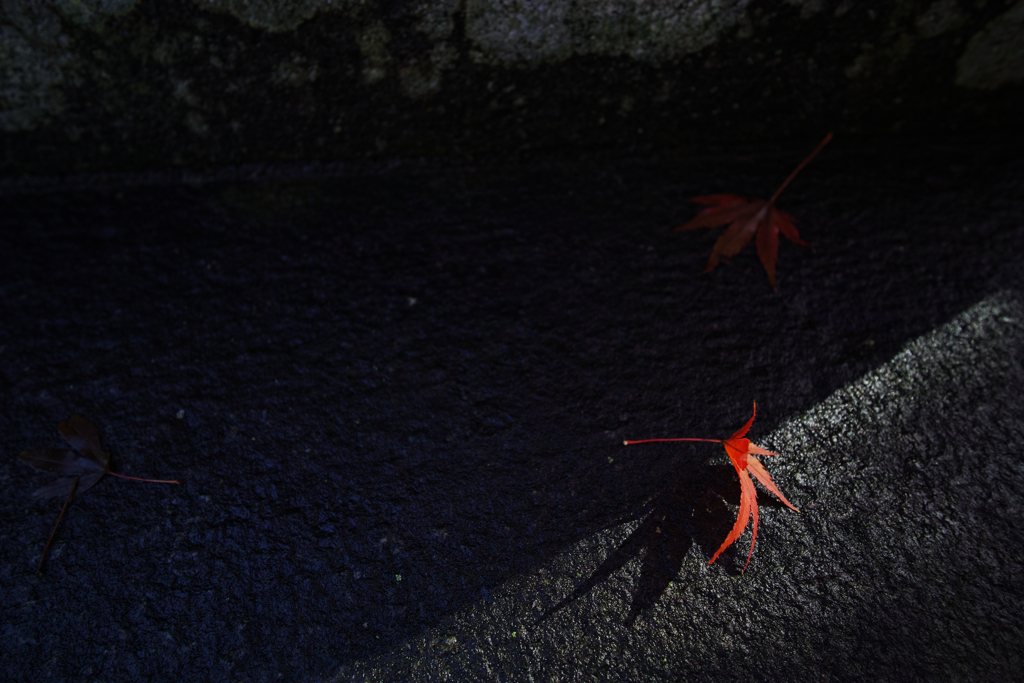 a shadow