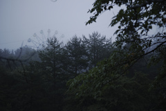 梅雨の終わり
