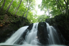 涼のある風景