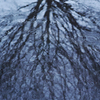 sign of rain