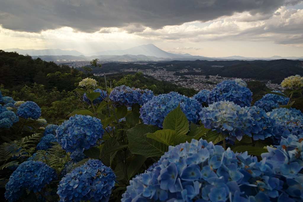 青天