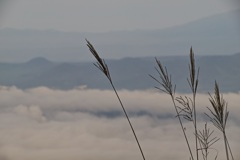 夏から秋へ