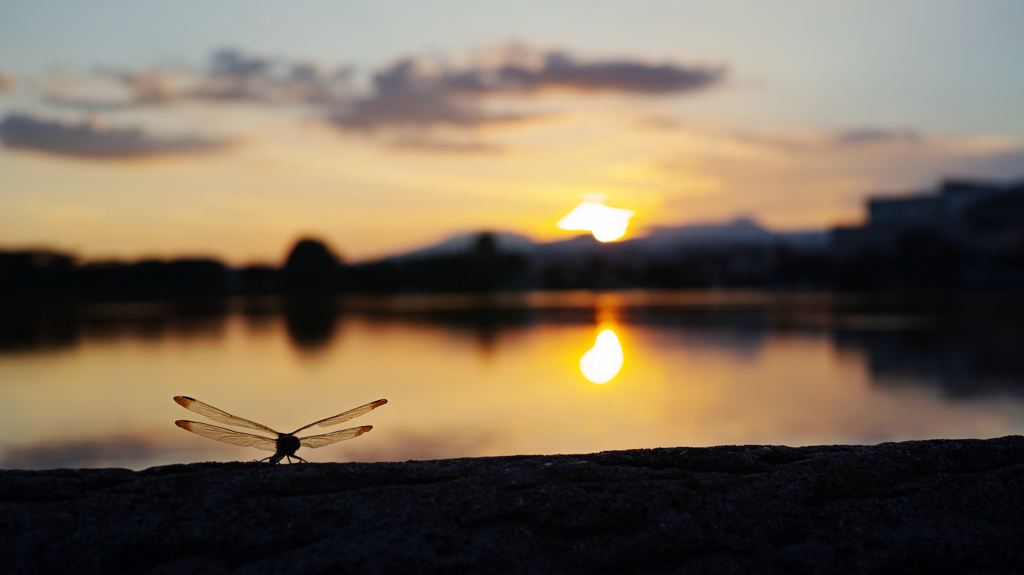 Evening wings