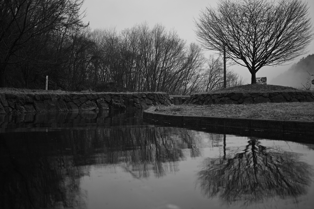 Reflection