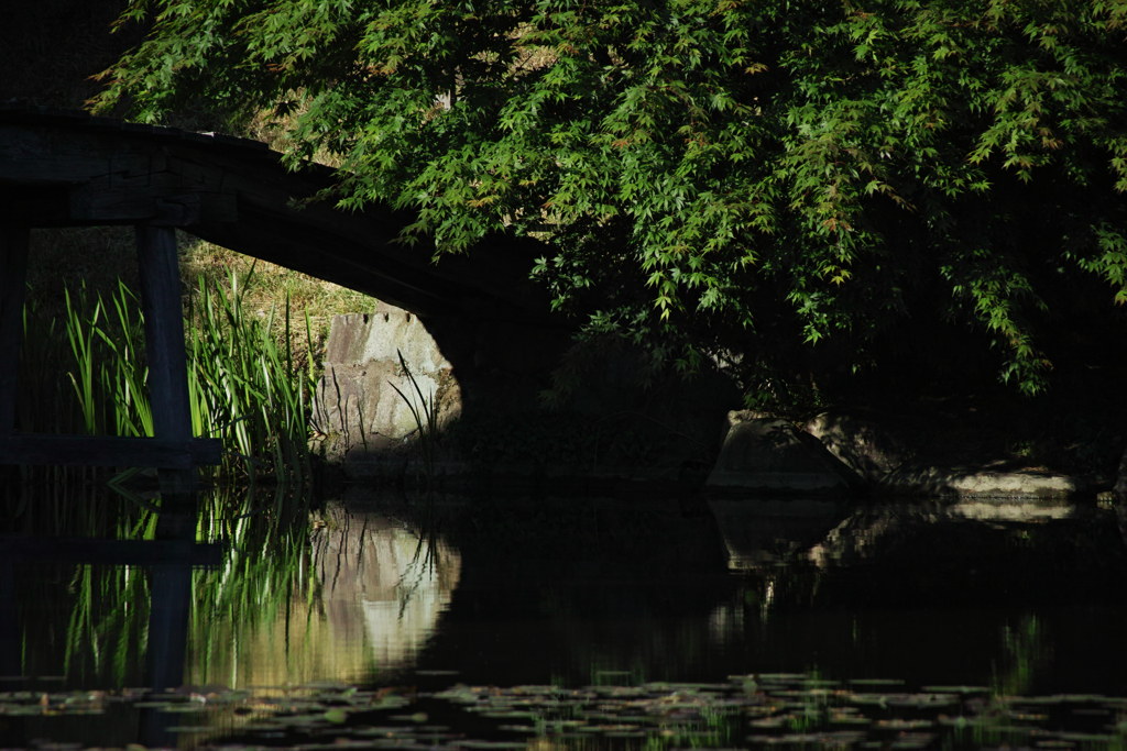 Light ＆ Reflection