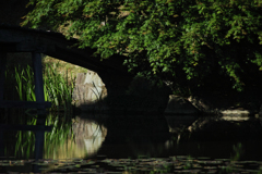 Light ＆ Reflection