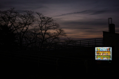 Vending machine at night
