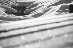 Snowball