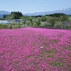 春うらら