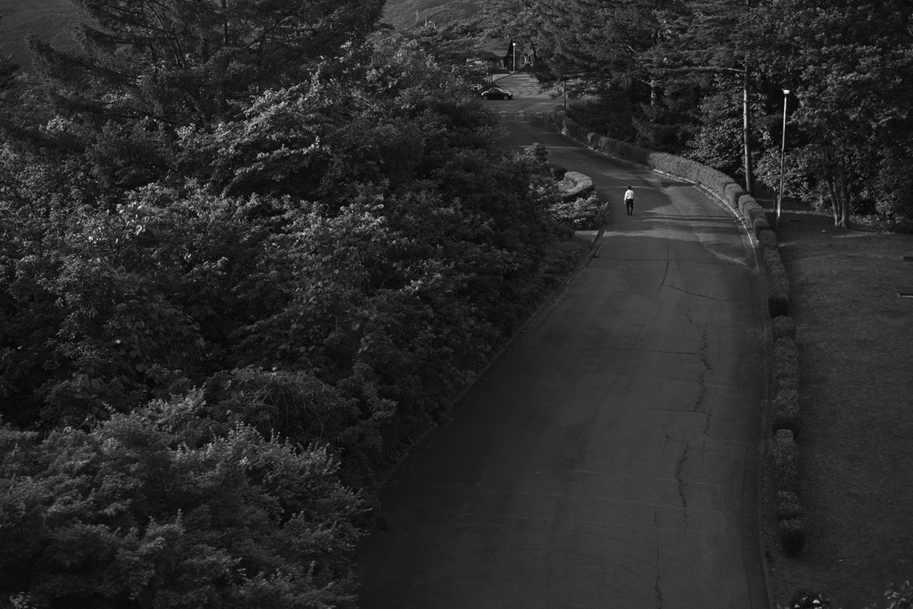 Uncolored view