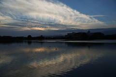 Reflection