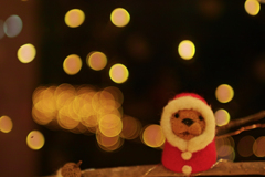 koiwai santa
